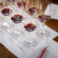 King Valley Sangiovese Project
