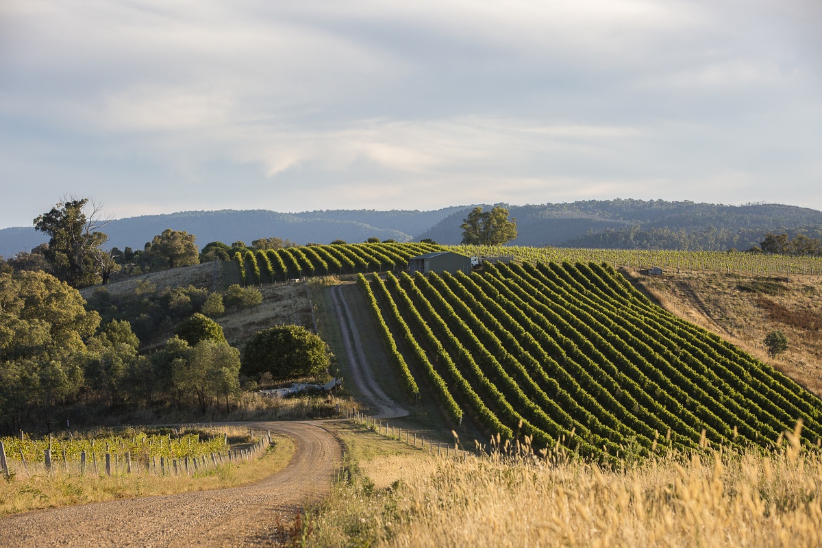 King Valley Wine Region Official site