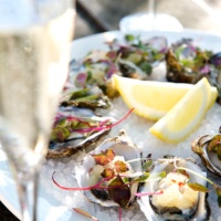 Oysters at Pizzini Wines, King Valley.
Photo by Erin Davis-Hartwig
