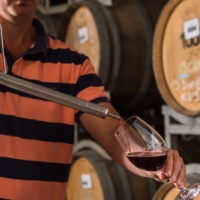 Joel Pizzini, Pizzini Wines. Photo by Erin Davis-Hartwig.