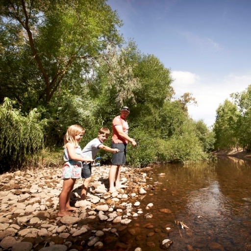 Cool off in the river