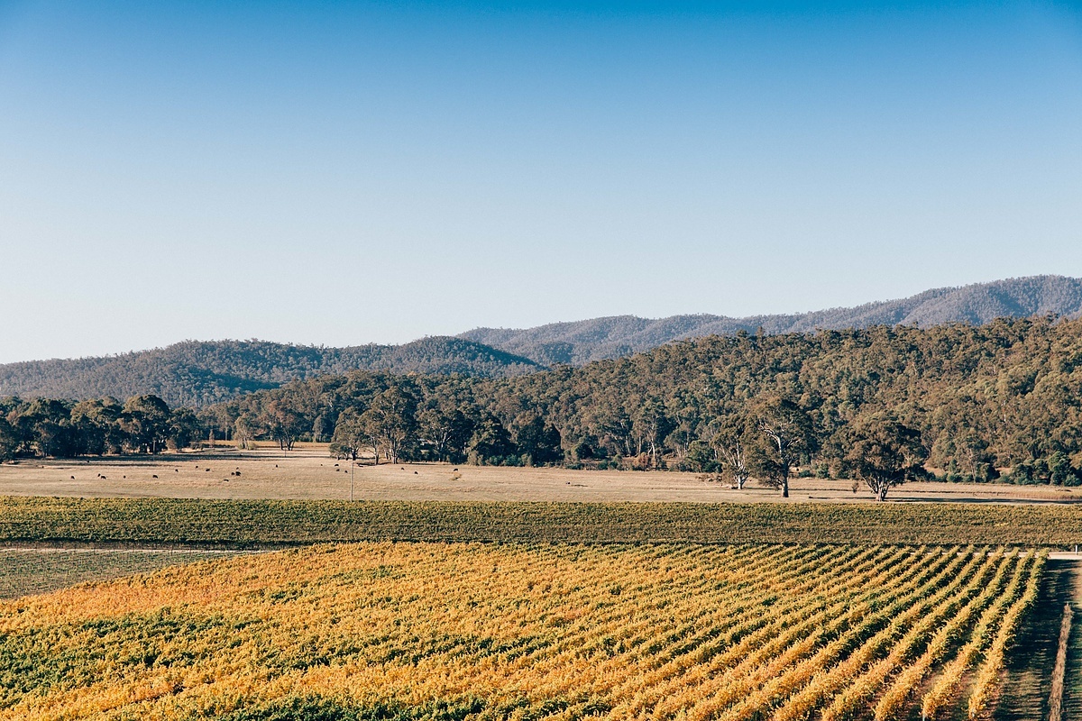 48 hours in the King Valley Wines of the King Valley